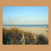 Spring Beach Scene No.3 posters