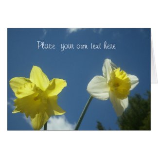 Spring beautiful daffodils customizable card card