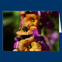 Spring Bee-gins! cards