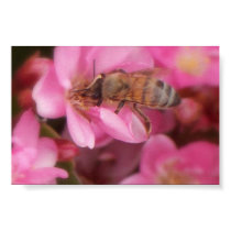 Spring Bee posters by Dana110299 Spring Bee posters