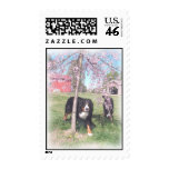 Spring, Berners and trees Postage Stamp