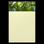 Spring Birch Leaves Stationery