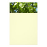Spring Birch Leaves Stationery