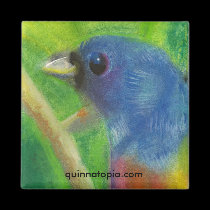 Spring Bird Magnet magnets