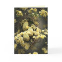 Spring Bird Nest Greeting Card by GreetingsCards Spring Bird Nest Greeting Card