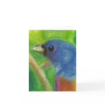 Spring Bird Notecard