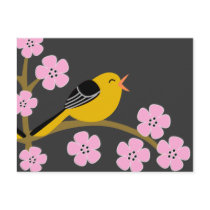 Spring Bird Postcard
