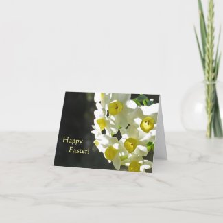 Spring Blessings Narcissus Easter Card