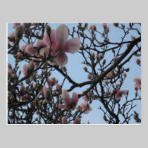 Spring bloom postcards