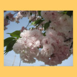 Spring blooming canvas print