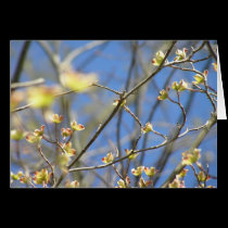 Spring Blooms Blank Note Cards cards
