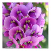 Spring Blooms Canvas Design posters by misslscott2005 Spring Blooms Canvas Design posters
