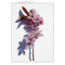 Spring blooms cards by chkoch Spring blooms cards