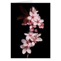 Spring blooms cards by chkoch Spring blooms cards