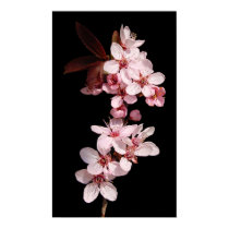 Spring blooms posters by chkoch Spring blooms posters