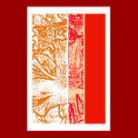 Spring Blossom posters