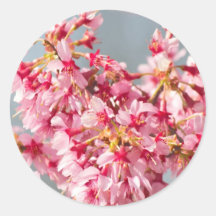 Spring  Blossom Round Sticker