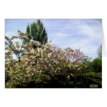 Spring Blossoms cards by Riviere Spring Blossoms cards
