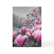 Spring Blossoms cards