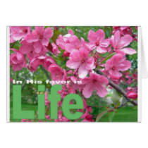 Spring Blossoms cards
