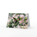 Spring Blossoms cards by kalliope94041 Spring Blossoms cards