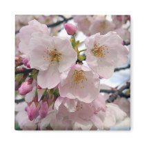 Spring Blossoms magnets
