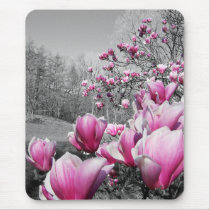Spring Blossoms mousepads