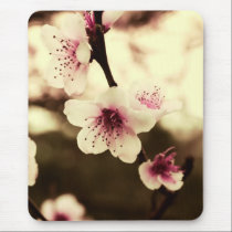 Spring Blossoms Mousepad by webgrrl Spring Blossoms Mousepad