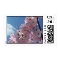 Spring Blossoms postage by closphotos Spring Blossoms postage