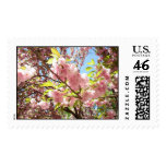 Spring Blossoms Stamp