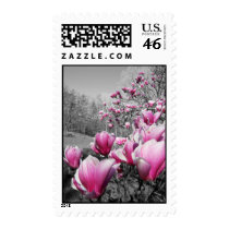 Spring Blossoms postage