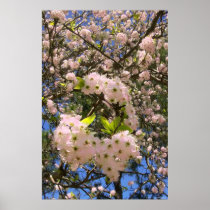 Spring Blossoms Print
