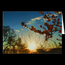 Spring Blossoms Sunset Sparkle Card cards