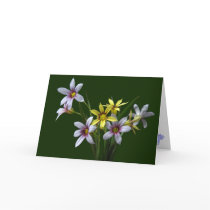 Spring Blue-Eyed Wildflower Note Card
