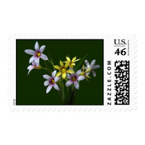 Spring Blue-Eyed Wildflower Postage Stamps