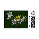 Spring Blue-Eyed Wildflower Postage Stamps