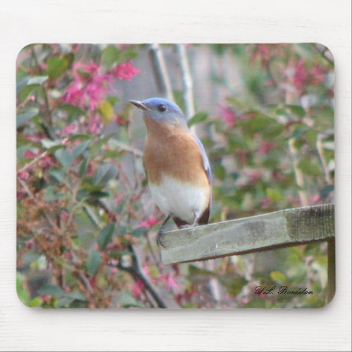 Spring Bluebird Mousepad mousepad