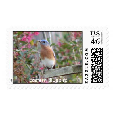 Spring Bluebird Postage by naturegirl7
