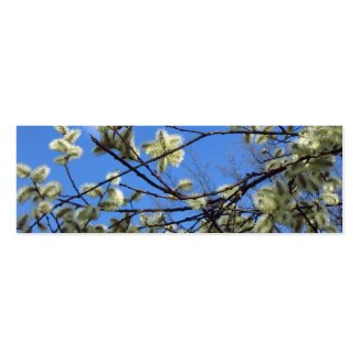 Spring bookmark profilecard