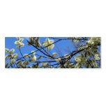 Spring bookmark business cards