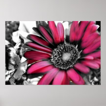 Spring Bouquet in Black & White Posters