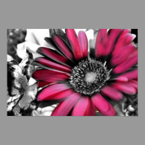 Spring Bouquet in Black & White posters by sharpcreations Spring Bouquet in Black & White posters