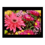 Spring Bouquet Postcard
