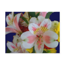 Spring Bouquet Postcards
