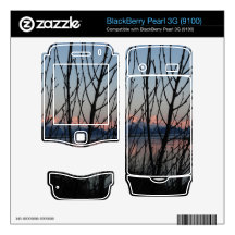 Spring Branches in Sunset Skin For BlackBerry Pearl