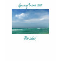 Spring Break 2008, Florida! t-shirts by patsarts Spring Break 2008, Florida! t-shirts