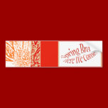 Spring Break! bumper stickers