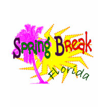 Spring break florida t-shirts