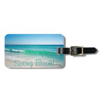 spring break luggage tag