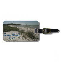 Spring break luggage tag 2013